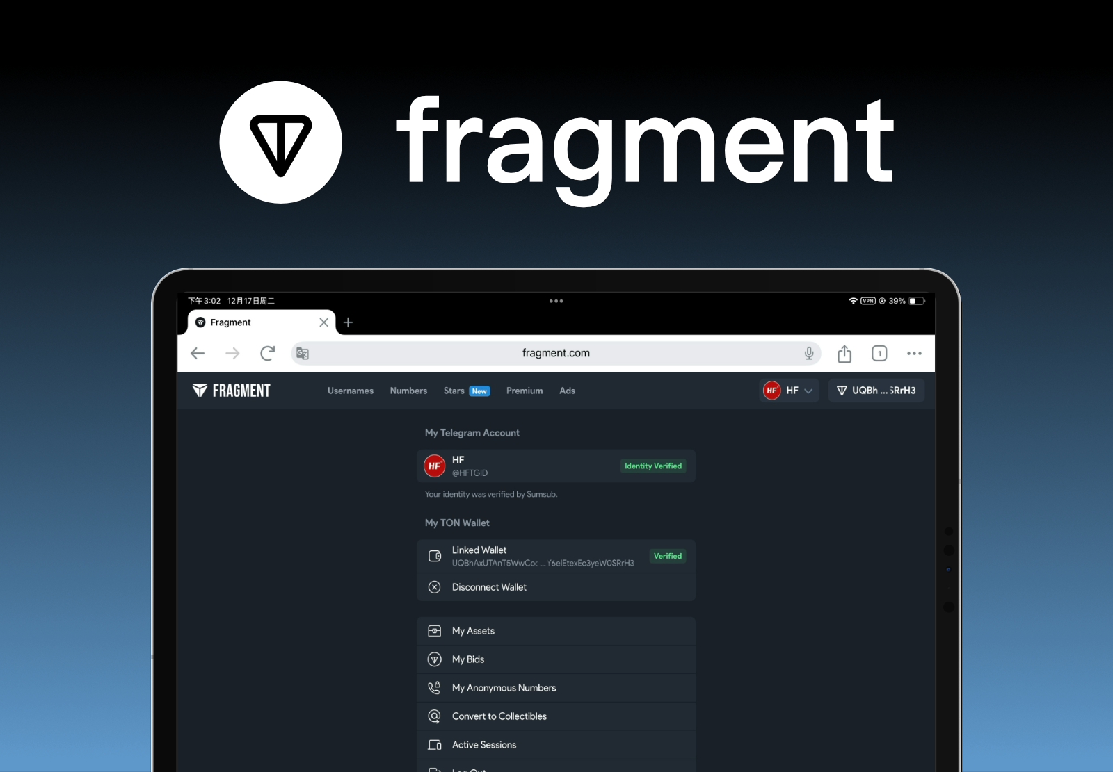 fragment平台验证/TG验证网站搭建-商城搭建-博客搭建-tg机器人-小程序部署搭建HF给你带来更多...